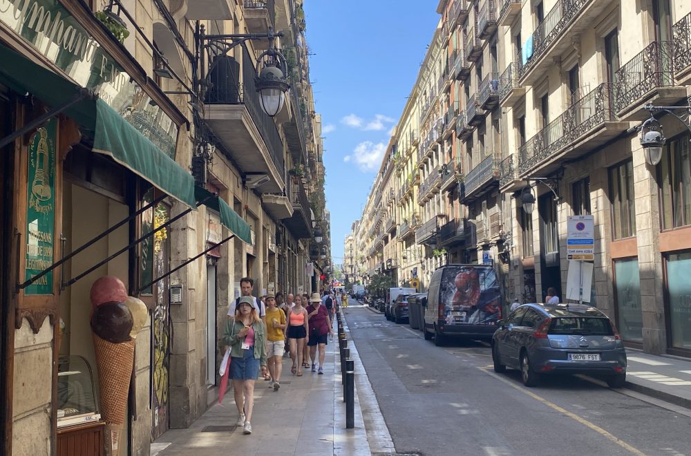 carrer princesa