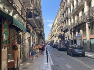 carrer princesa