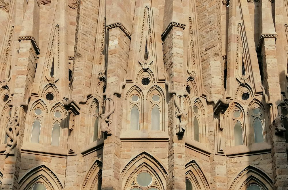 sagrada familia animals window detail