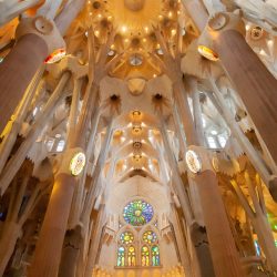 inside the Sagrada Familia on a guided tour