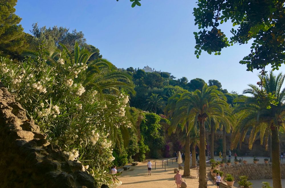 people near trees and hill during daytime