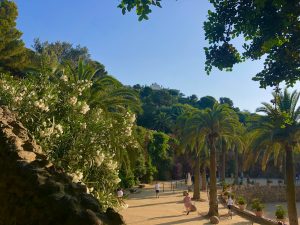 people near trees and hill during daytime