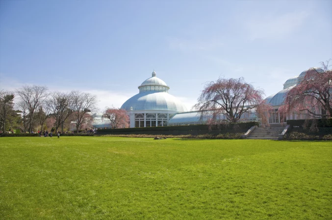 New York Botanical Garden