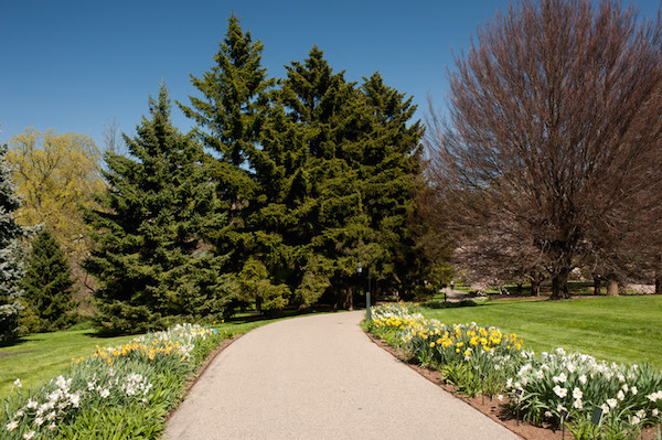 New York Botanical Garden