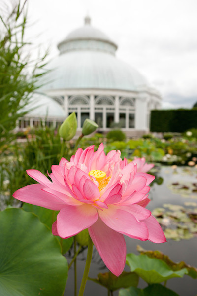 New York Botanical Garden
