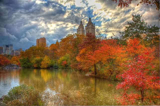 Autumn in New York