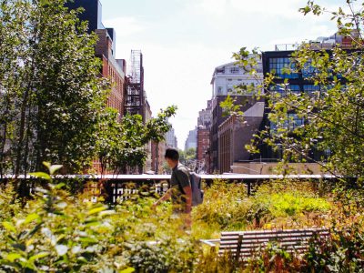 On the High Line looking down a Manhattan street