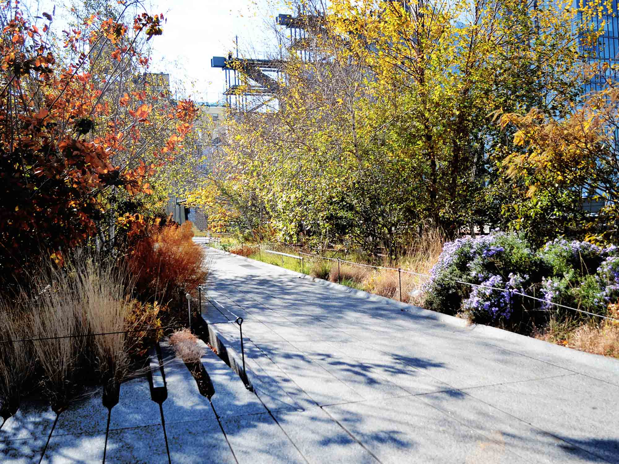 The High Line also features lush gardens