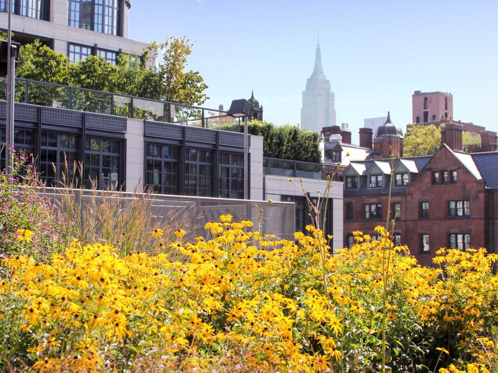 A view of the Empire State Building from the High Line