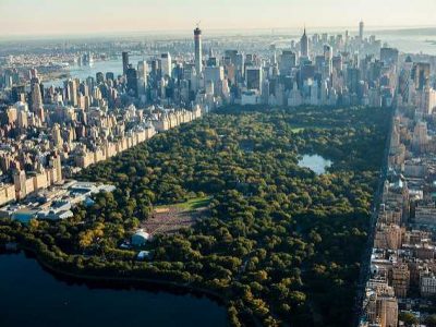 Central Park From Above
