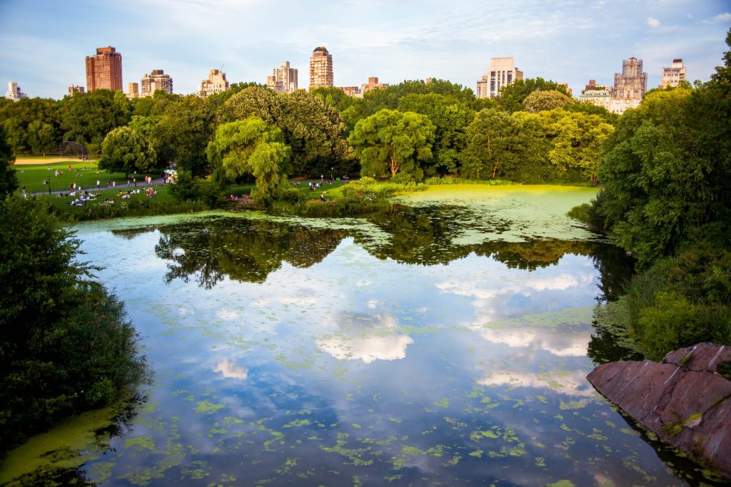 Central Park with lake in foreground and skyline in background