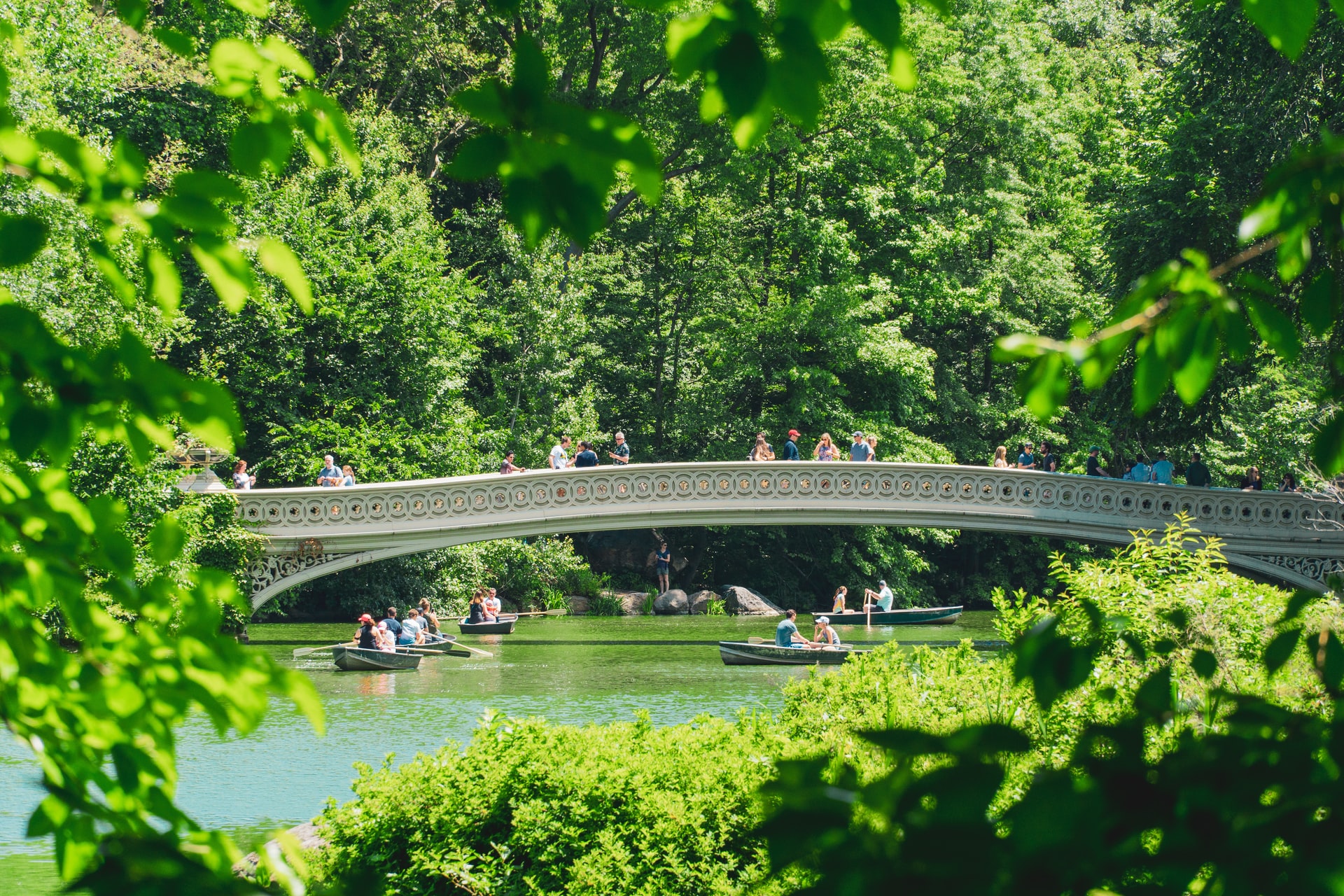 People rowing boats in the lake at Central Park