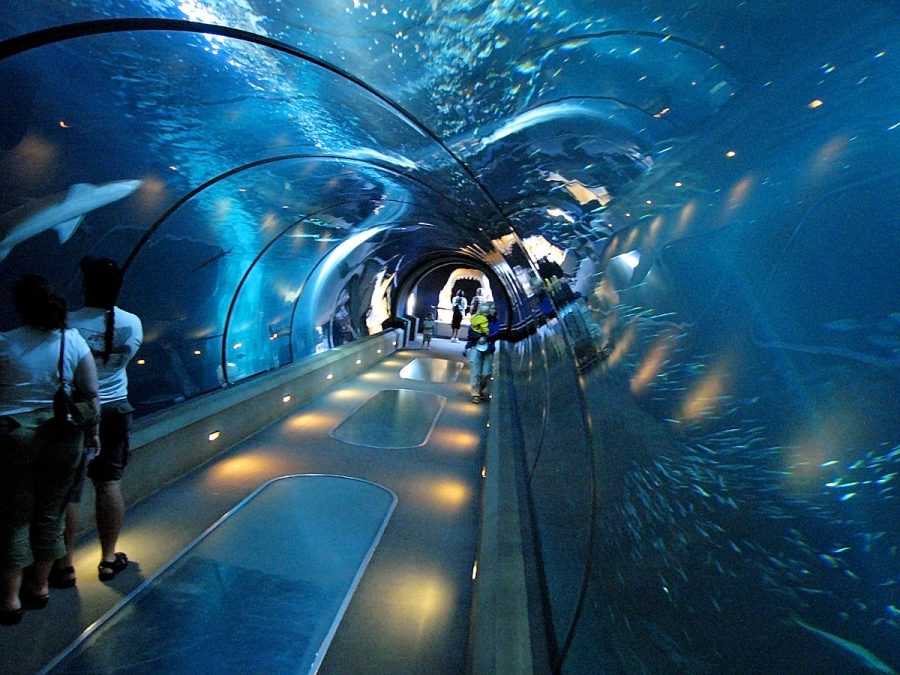 Aquarium tunnel