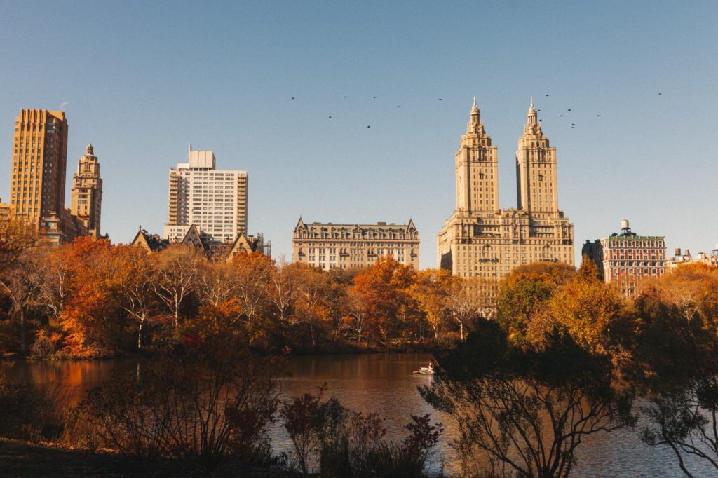 Central Park in New York City