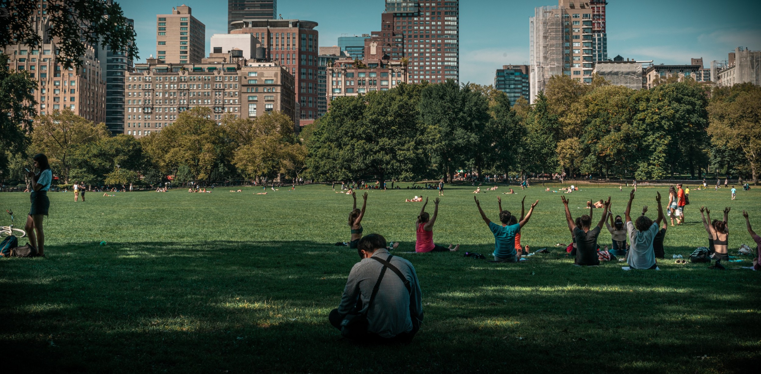 Sheep Meadow in Central Park