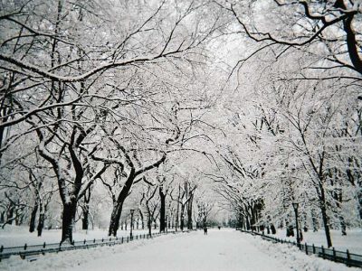 Central Park in Snow