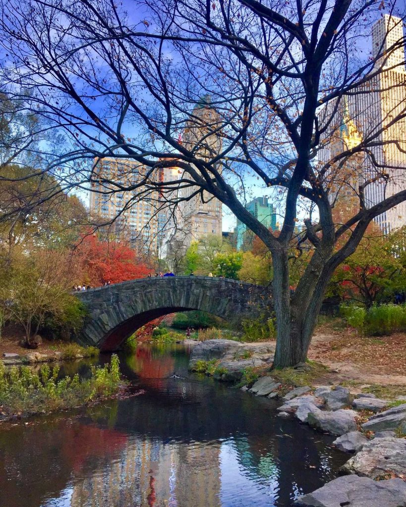 Fall in central parl