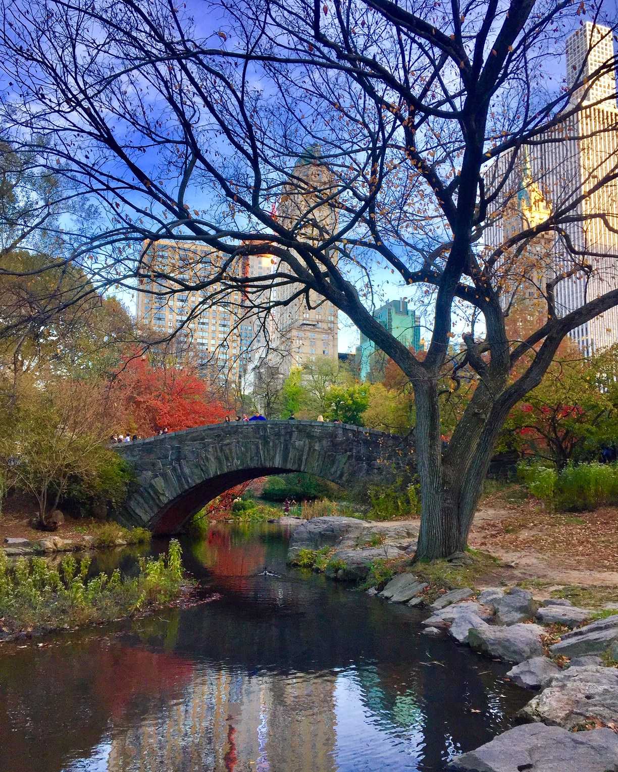 Fall for New York City – Autumn Bucket List! – Blog