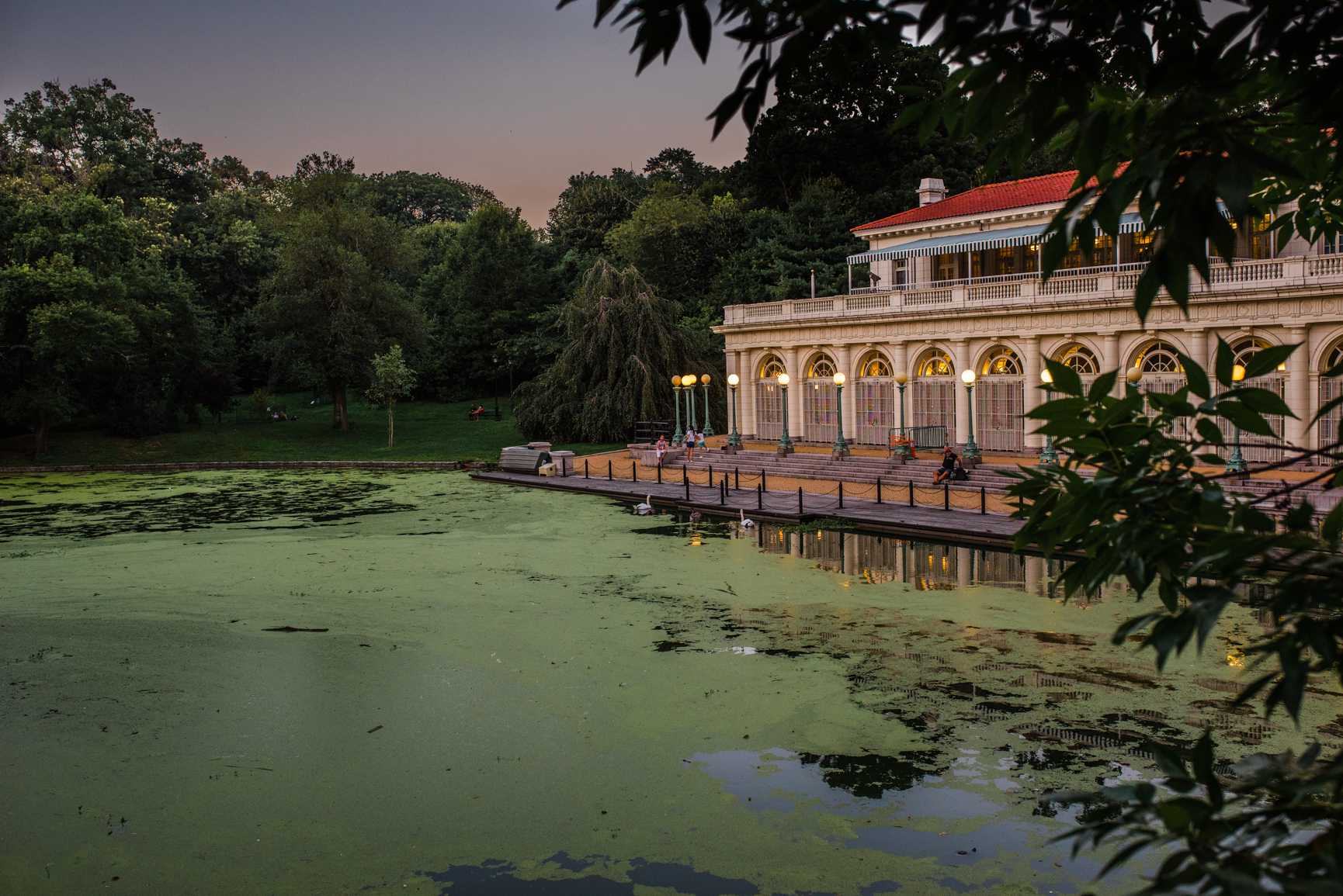 Lakehouse and Pond