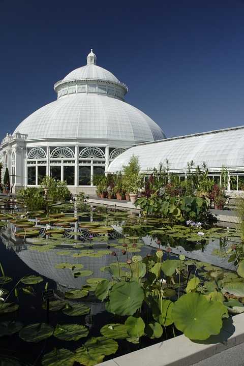 Pond with lilly pads and dome shaped white building