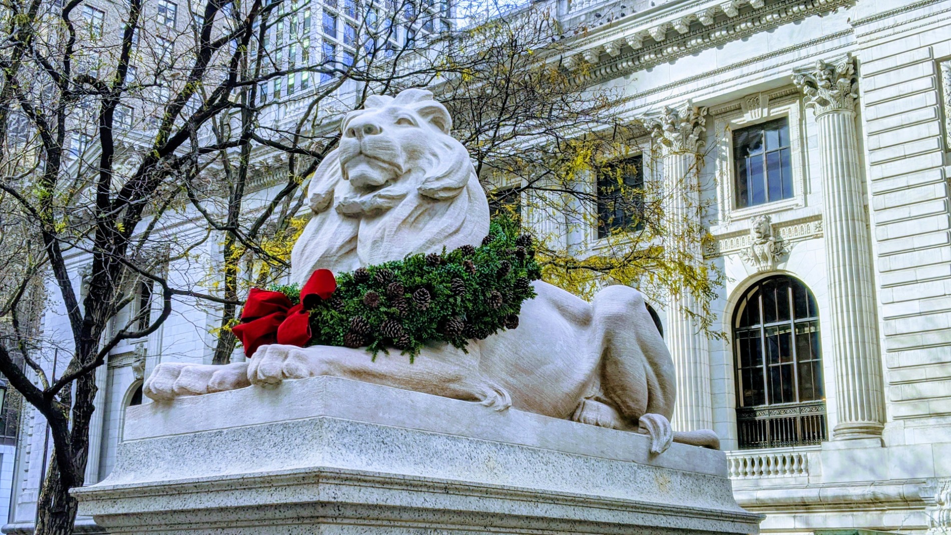 One of the lion statues flanking the New York Public Library