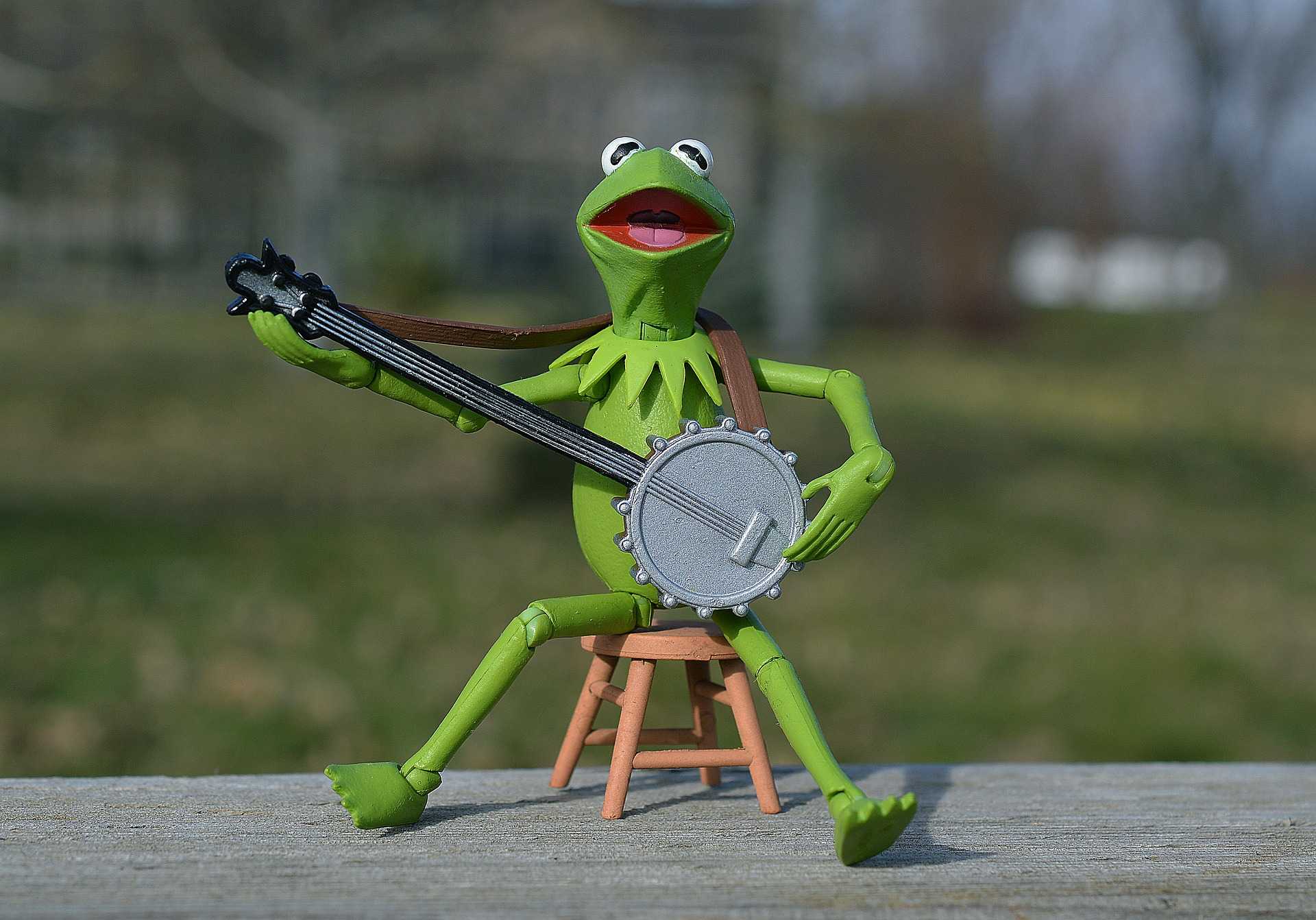 Toy frog with guitar