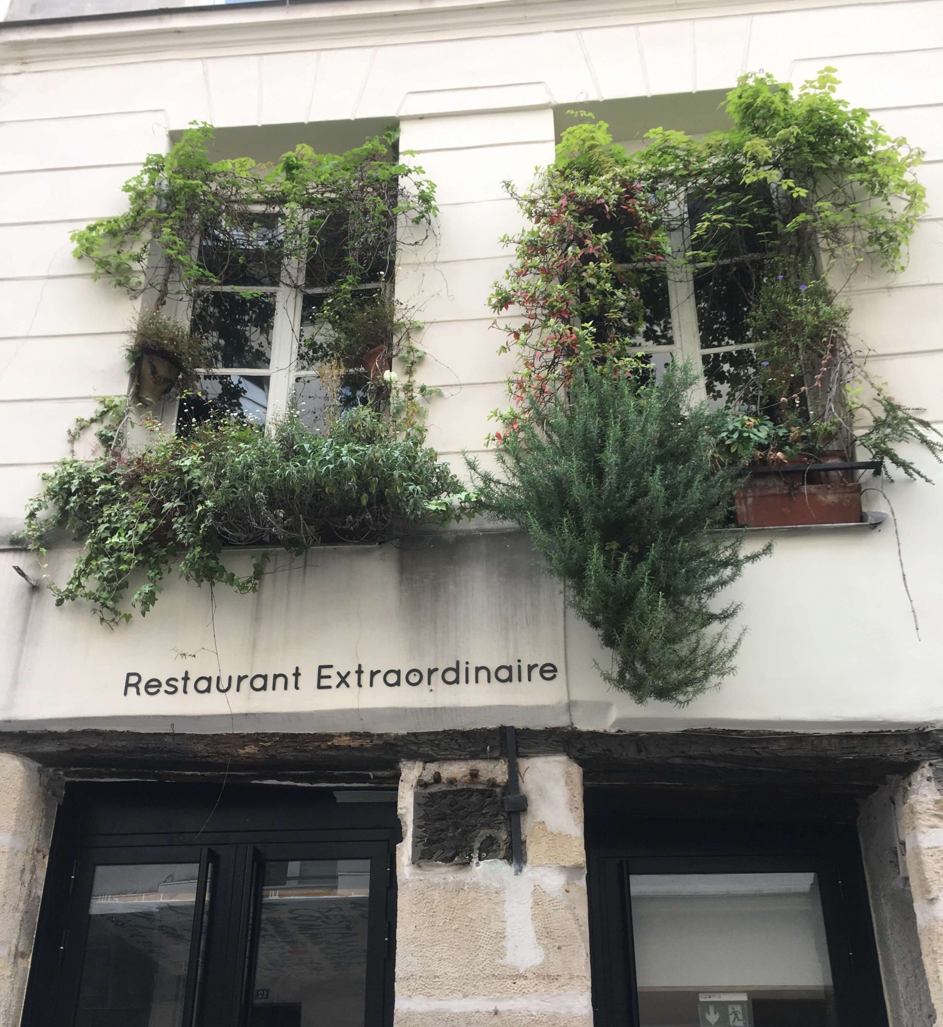 Plants, flowers and vines growing in window boxes on a Parisian apartment