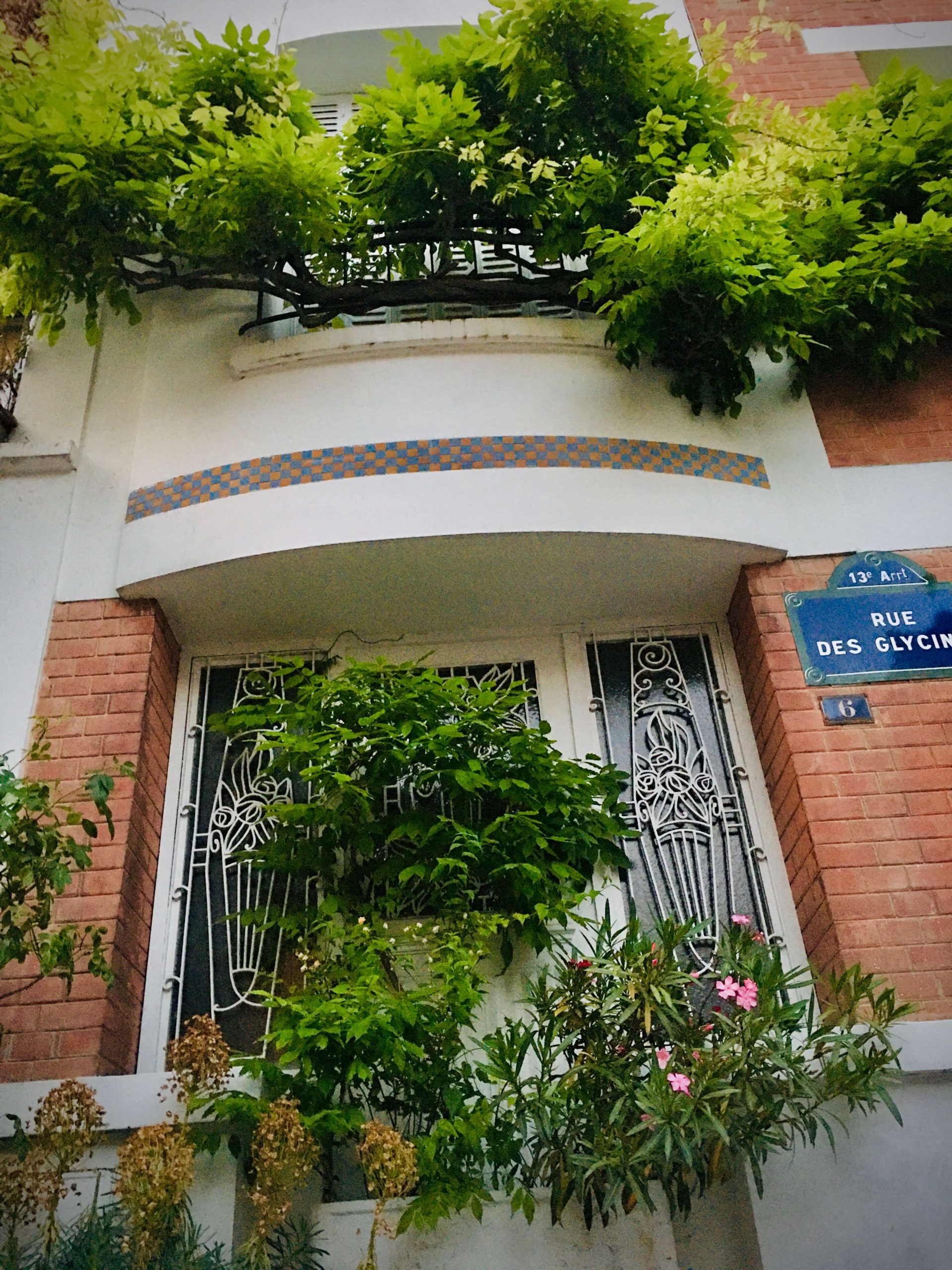 A wisteria vine growing across a balcony and green plants growing in front of the front door.