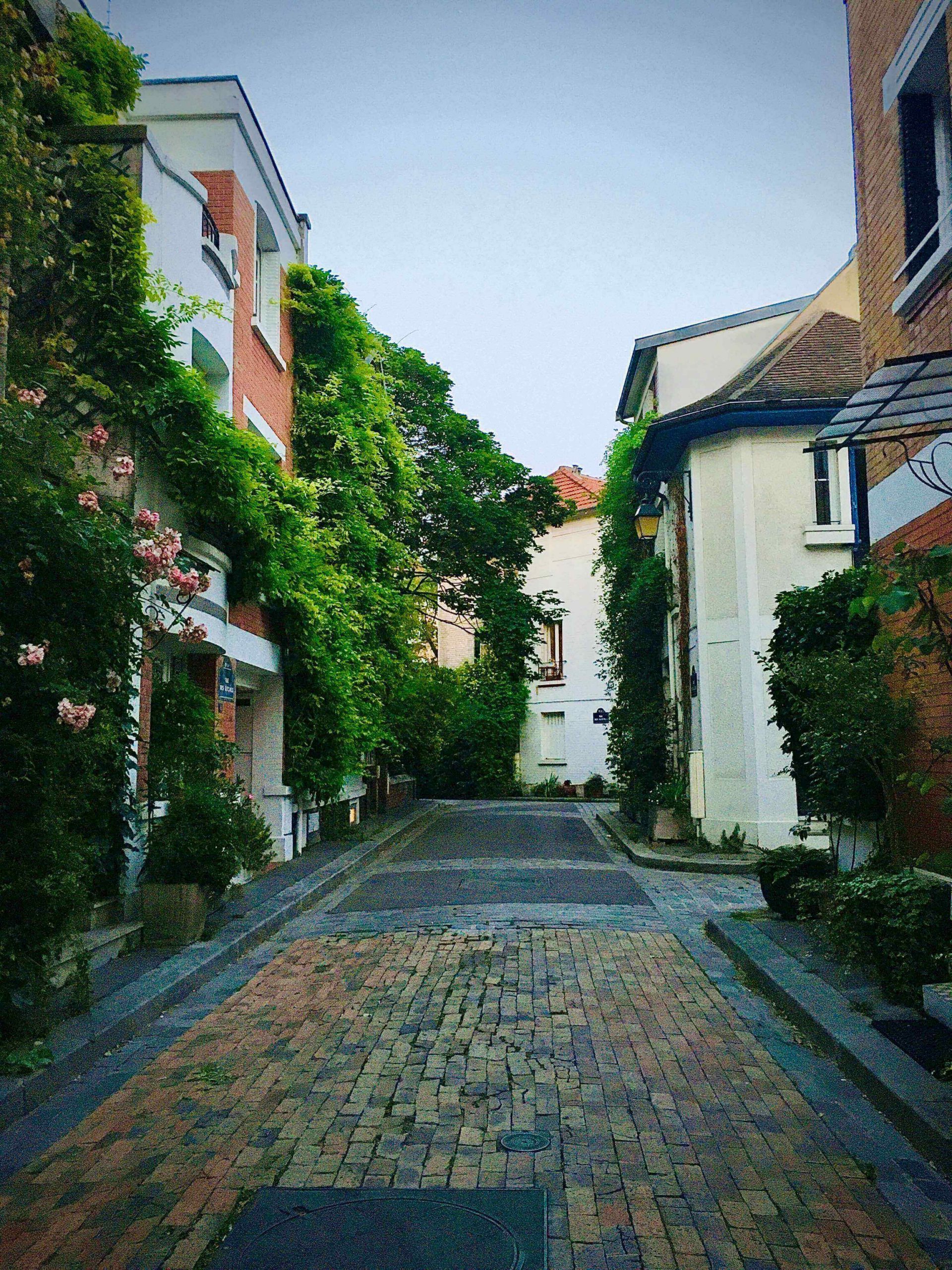 Cobblestone street lined with houses that have vines growing up the walls