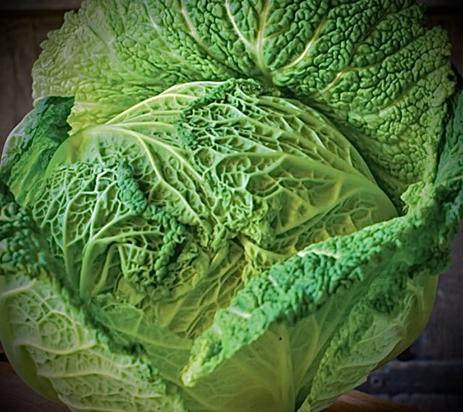Head of French green cabbage