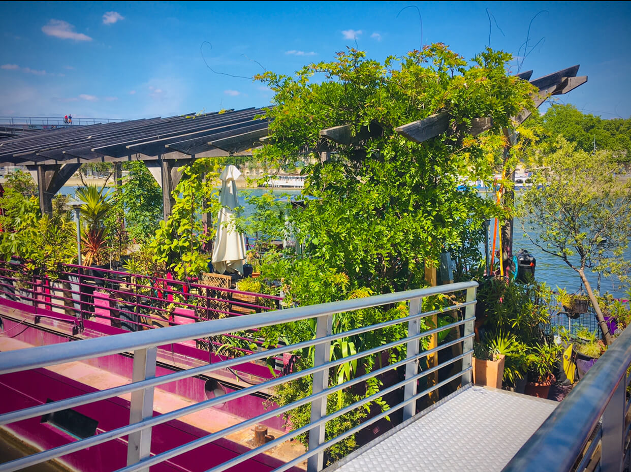 Lots of plants next to a boat ramp