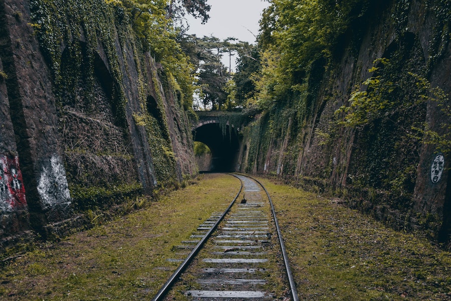 Abandoned railroad on the Petite Ceinture trail, an unusual sight in Paris
