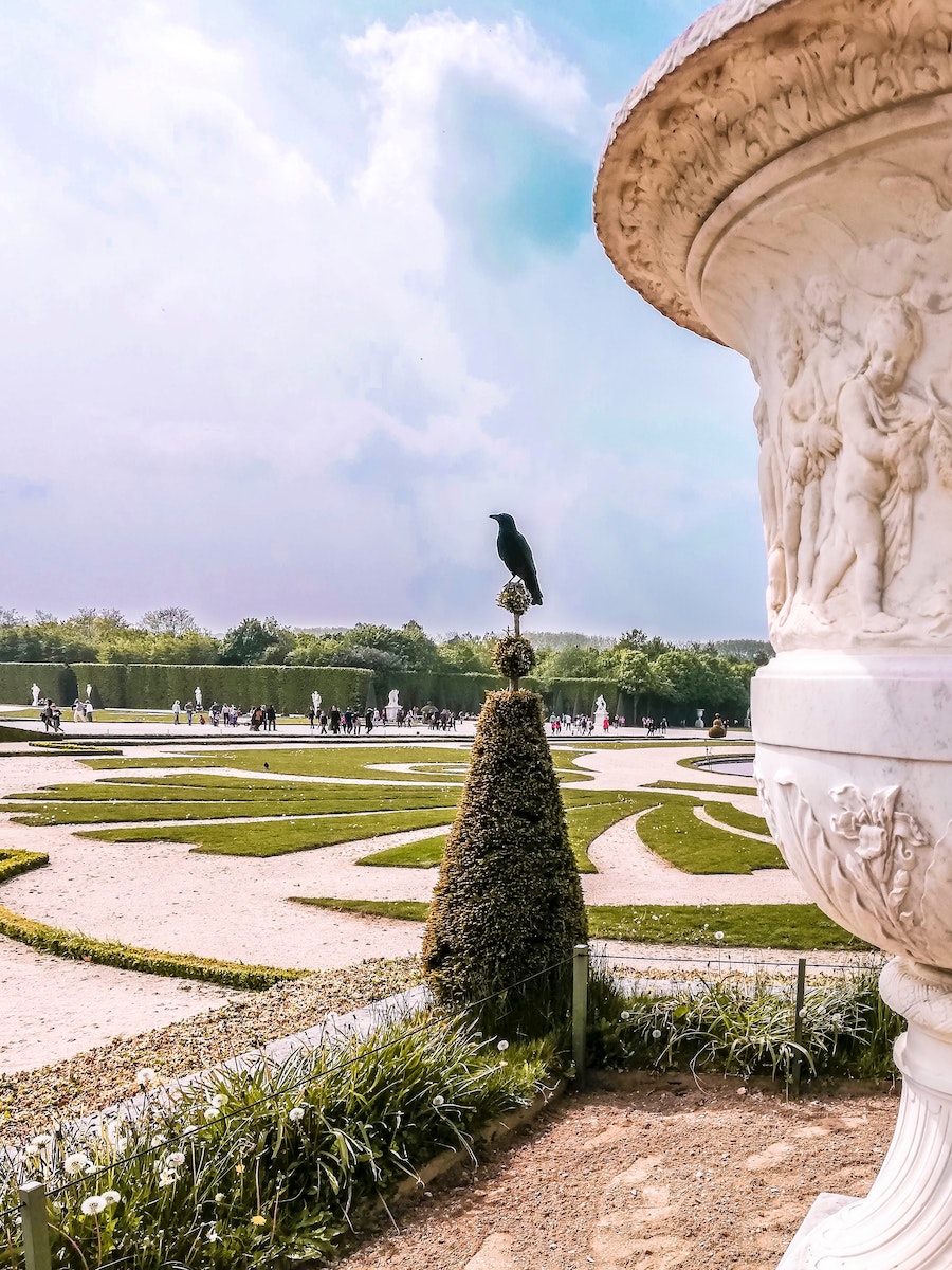 versailles: gardens with bird