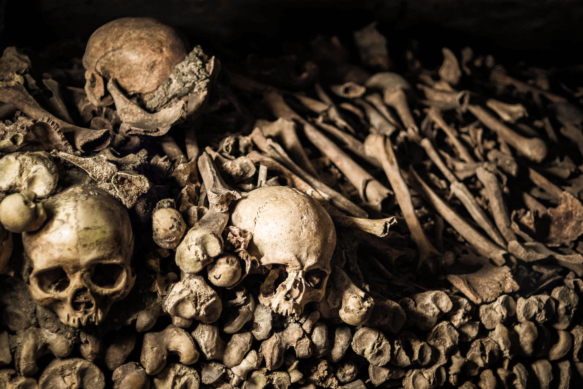 Skulls in the catacombs