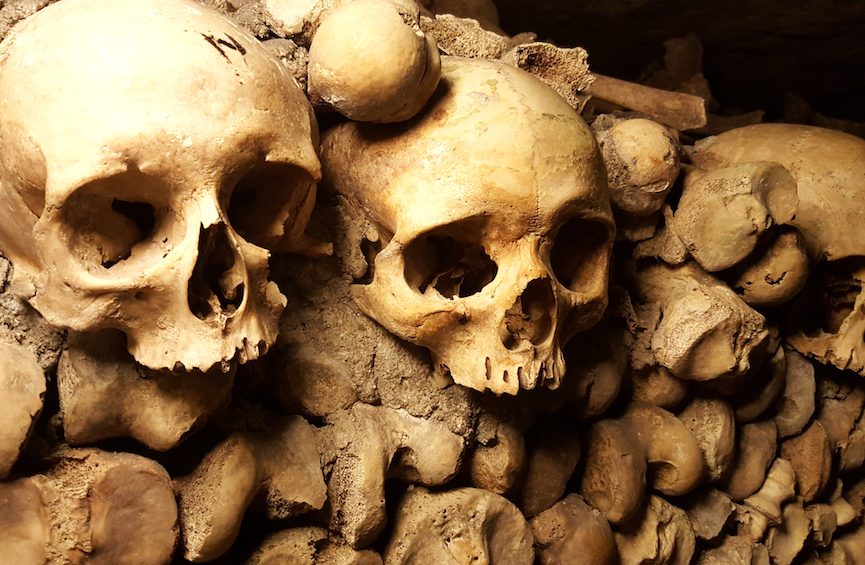 Skulls in the Paris Catacombs