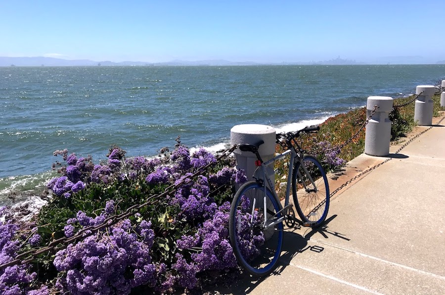 Bike trail near Alameda Beach