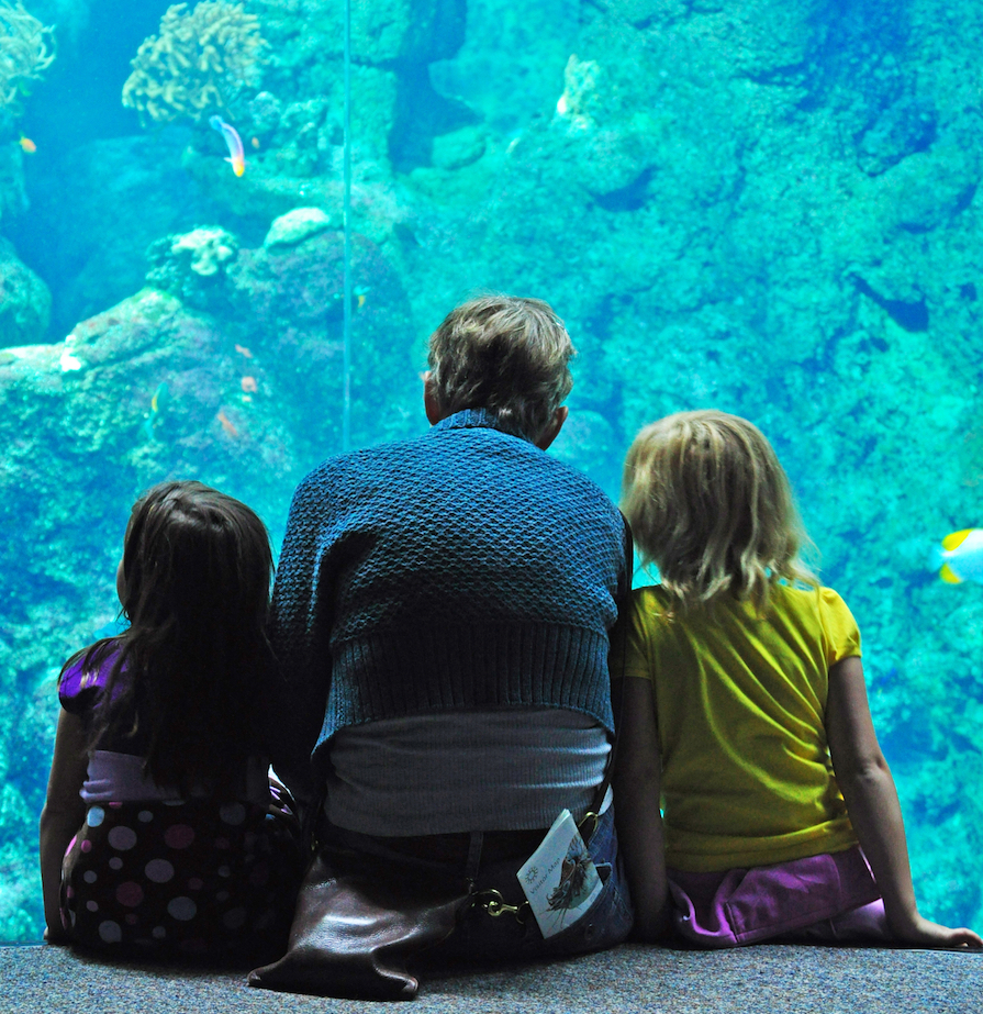 Aquarium inside the California Academy of Sciences