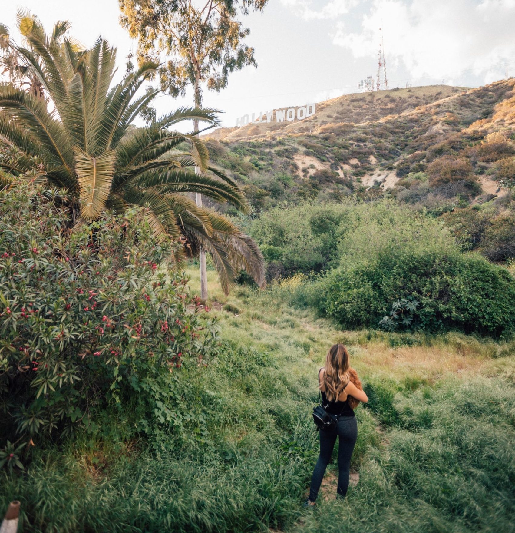 Griffith Park Hiking trails