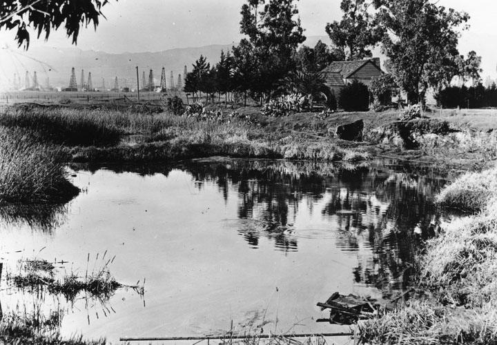 La Brea Tar Pits Historic Photo