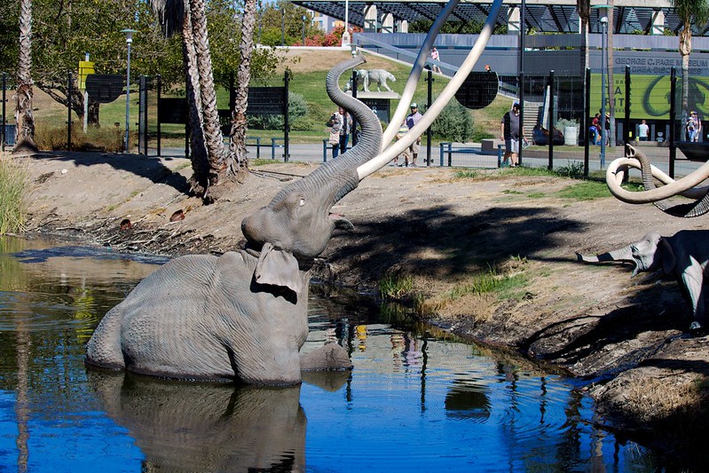 La Brea Tar Pits in LA