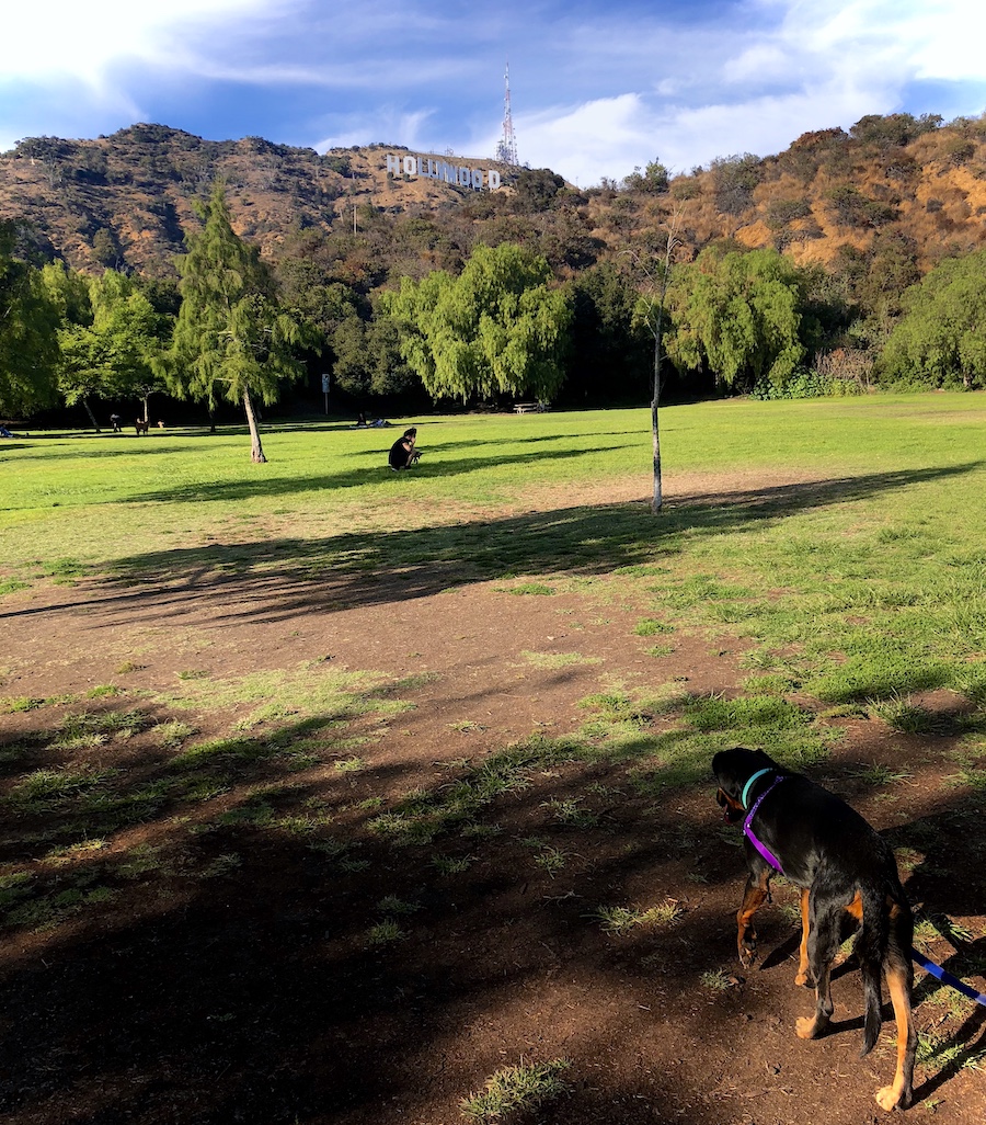 Lake Hollywood Park