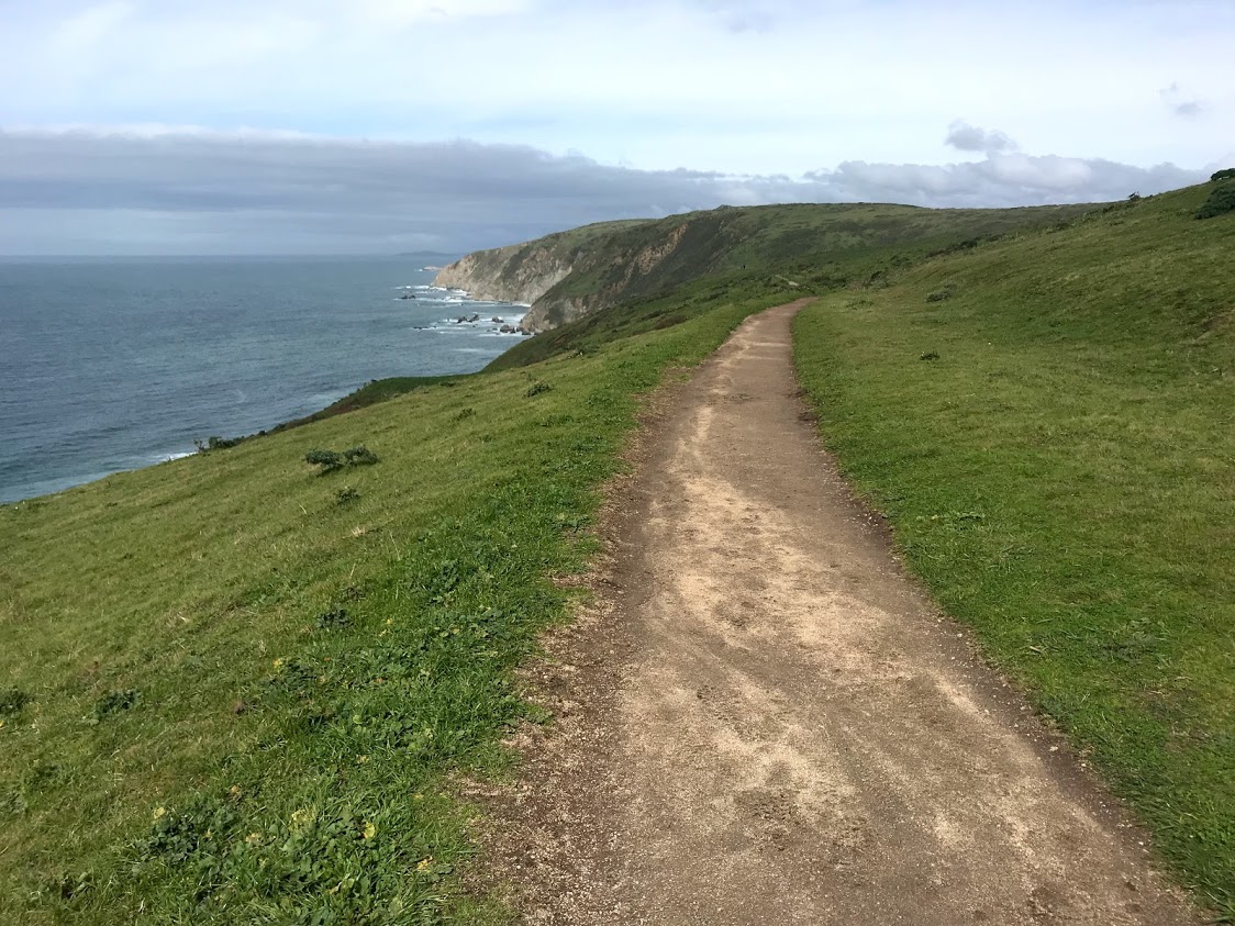 Tomales Bay Point Trail