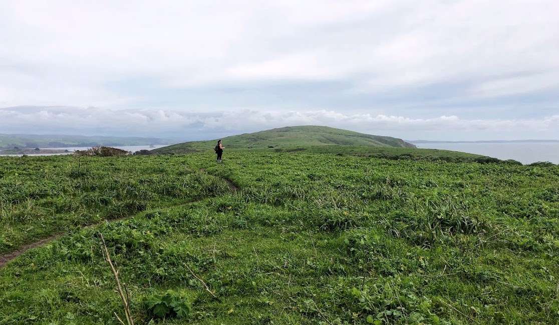 Tomales Bay