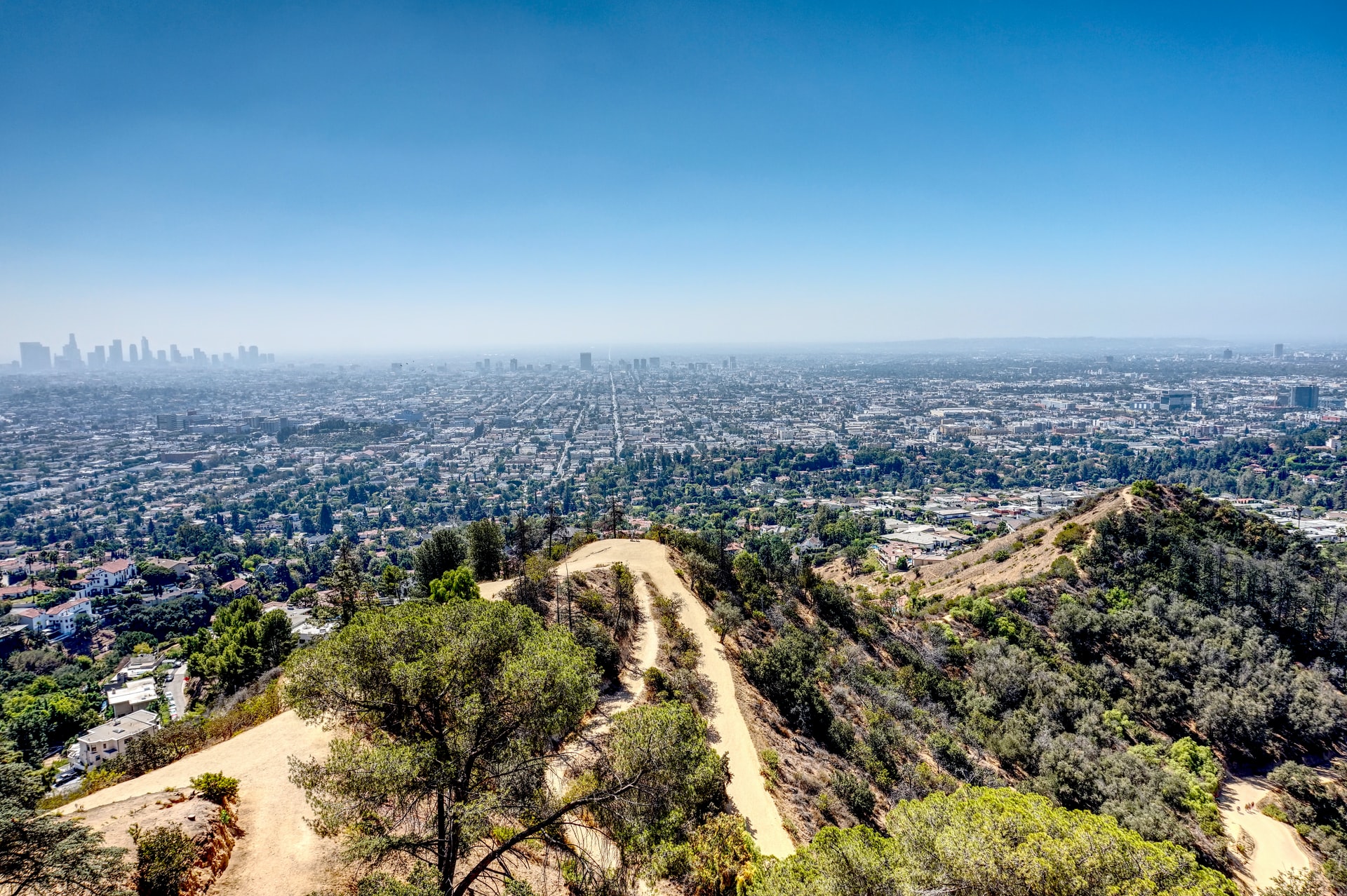 View of Los Angeles from Griffith Park