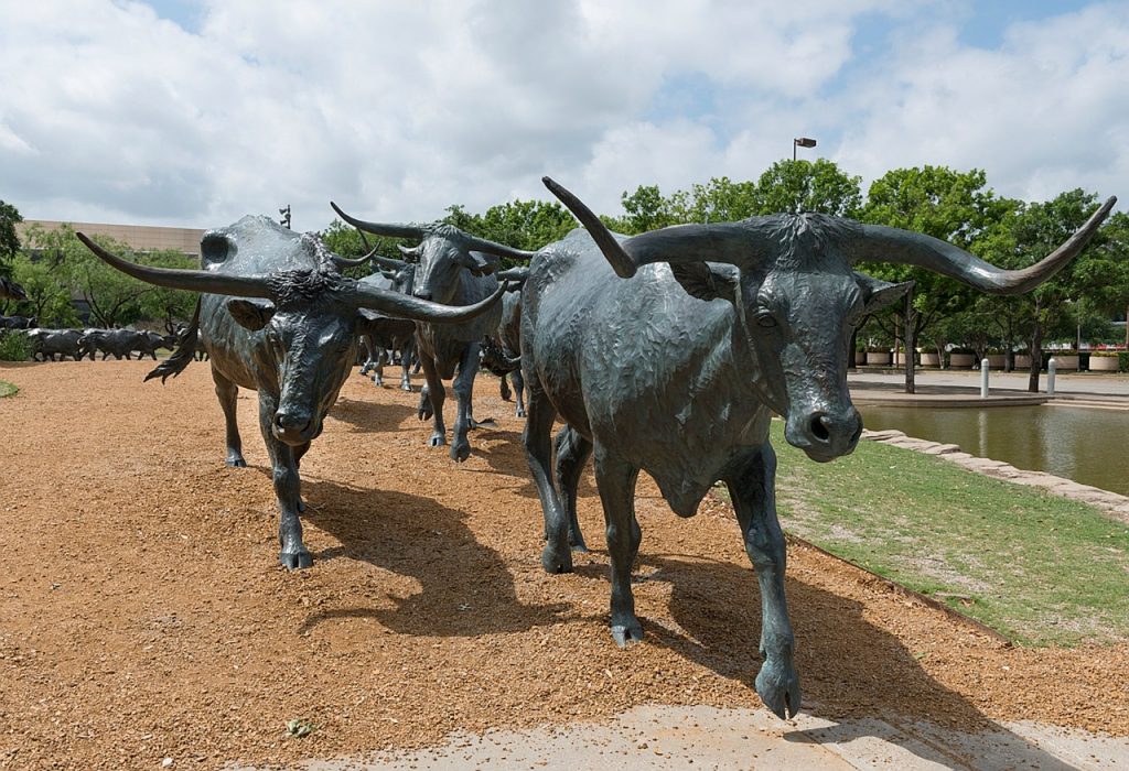 Bronze Bulls in Downtown Dallas at Pioneer Plaza