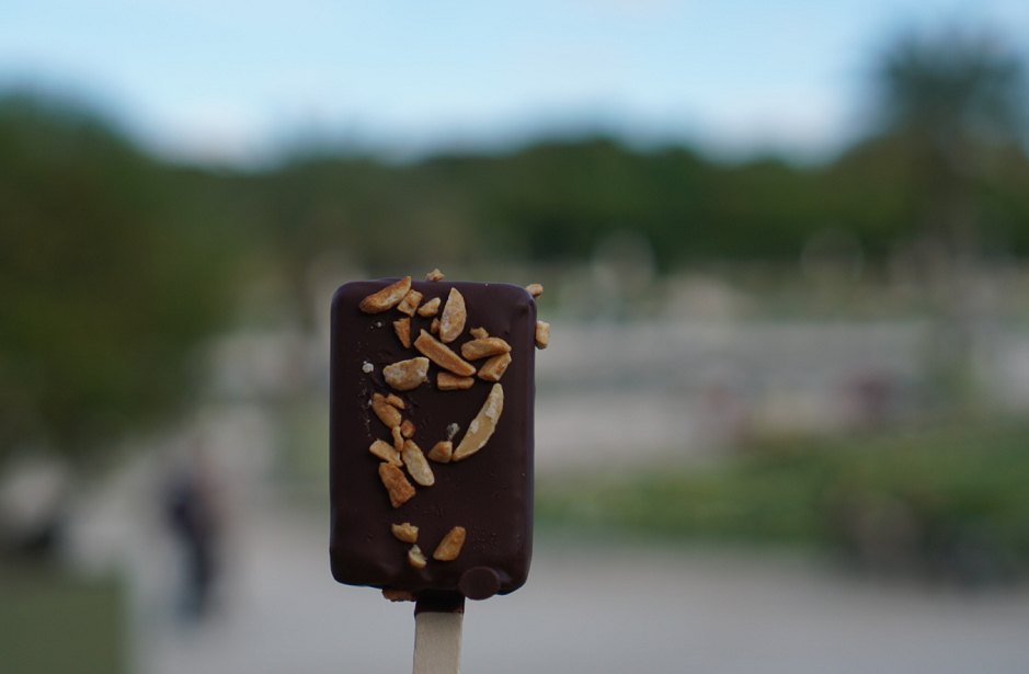 Chocolate ice cream bar from Jean Paul Hevin in Paris