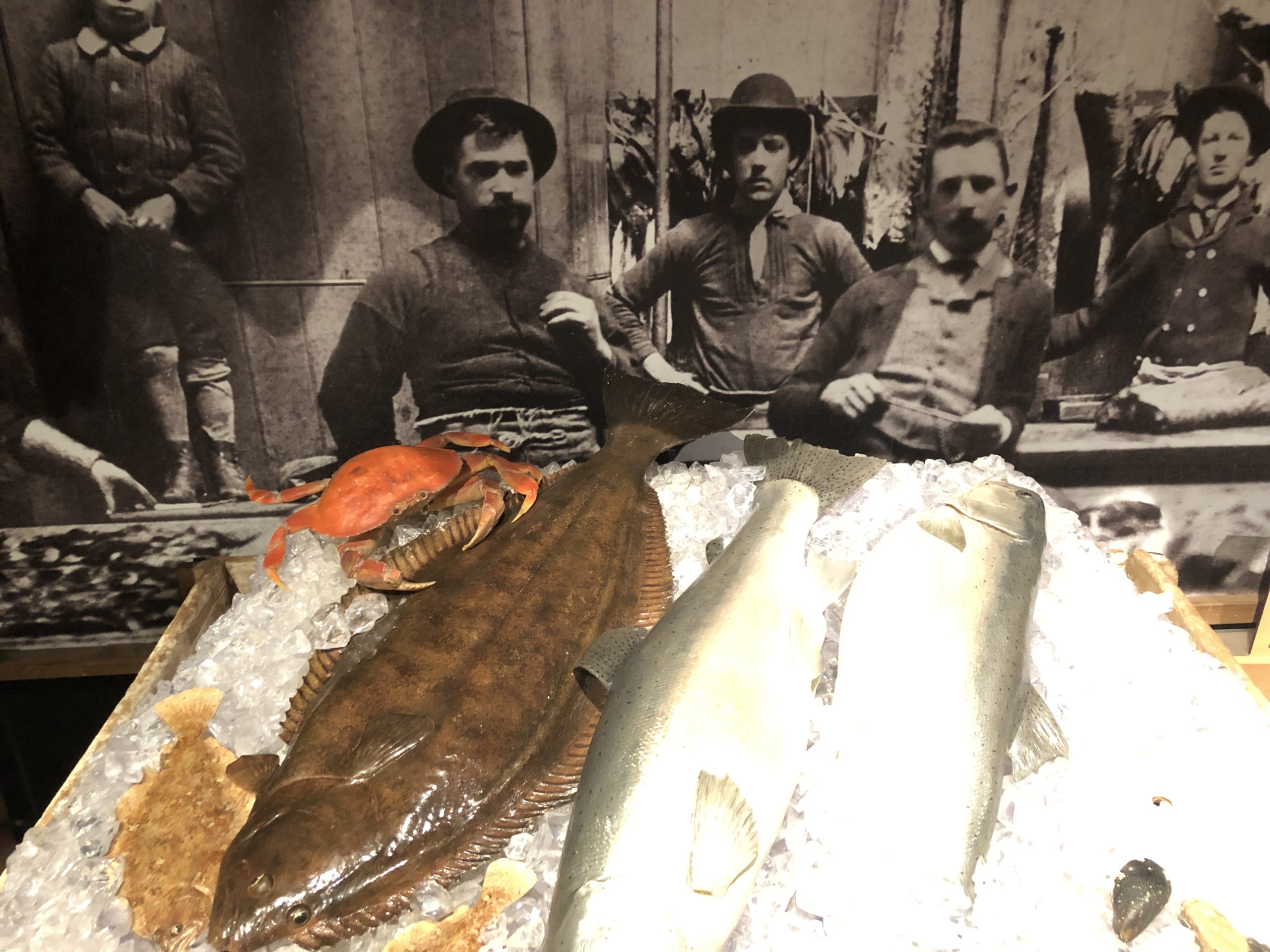 fish and crab at the Maritime National Historical Park Visitor Center