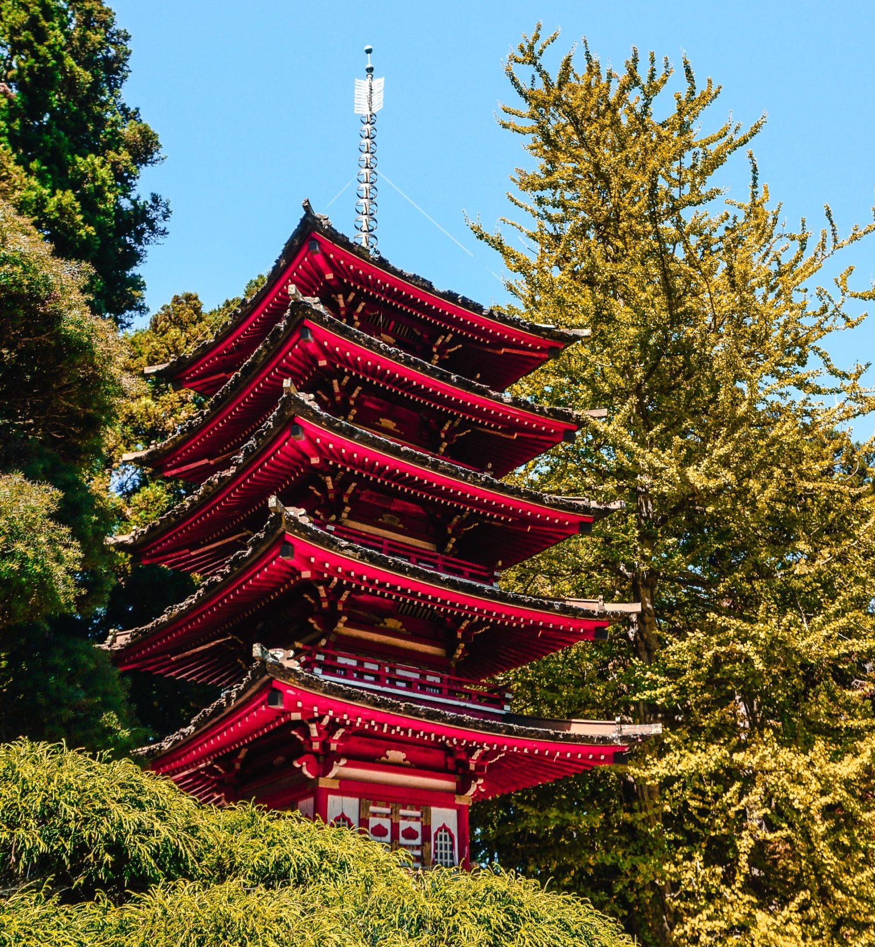 red pagoda at the Japanese Garden, one of several things to do and see in Golden Gate Park