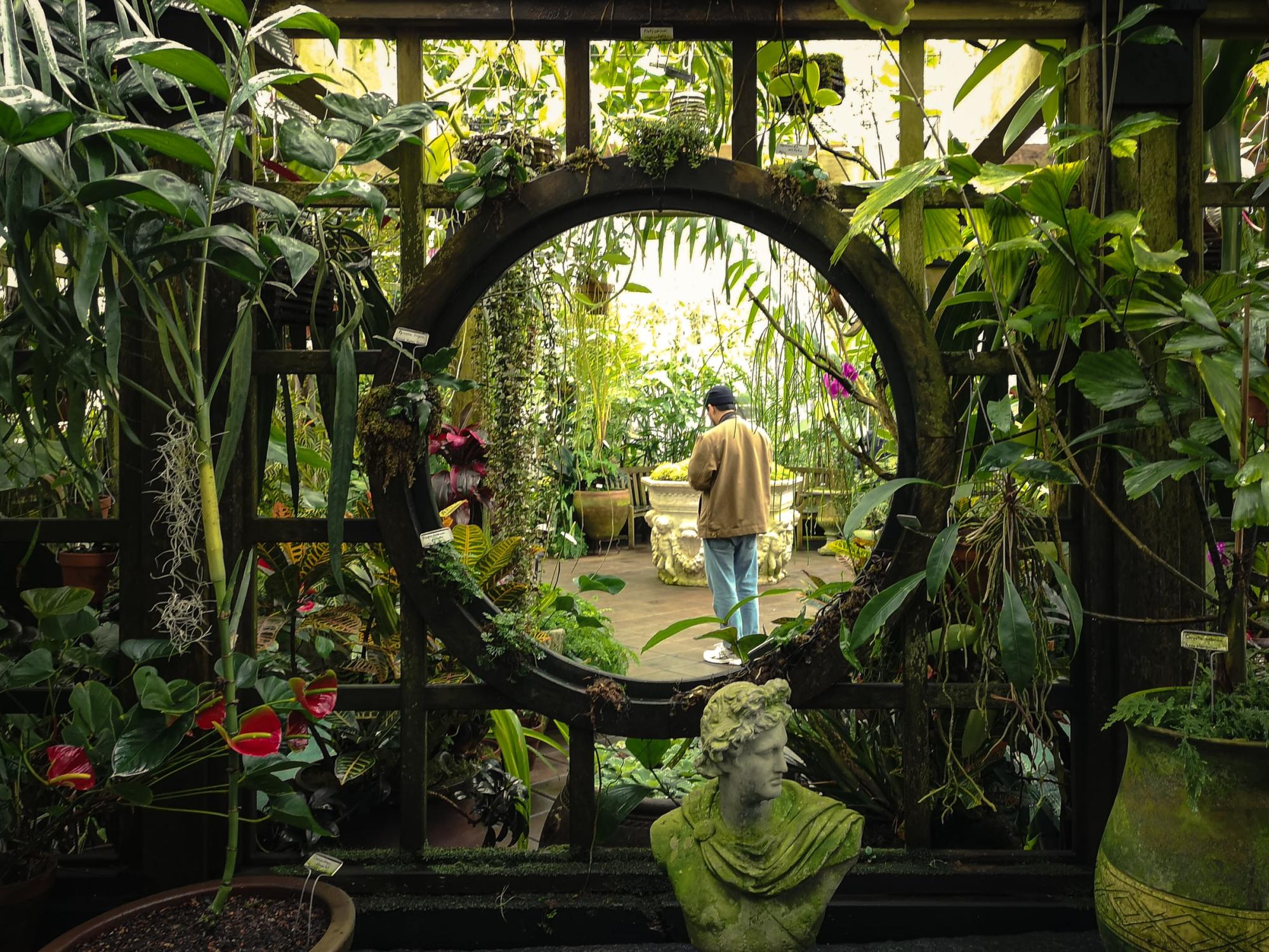 Conservatory of Flowers, one of the things to see inside Golden Gate Park