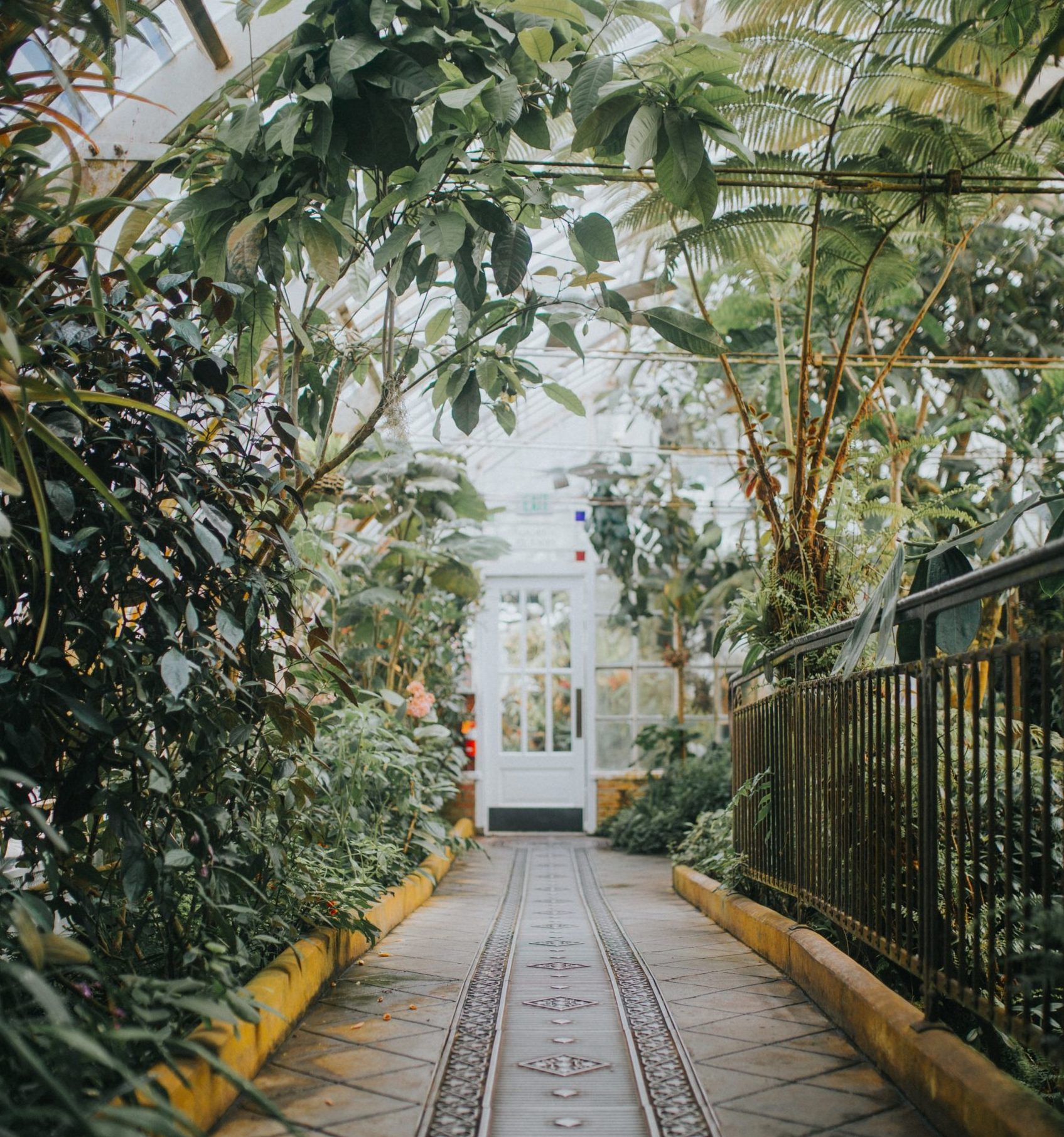 a walkway inside the Conservatory at Golden Gate Park